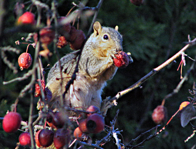 Quiz photo (V.I. Lohr)